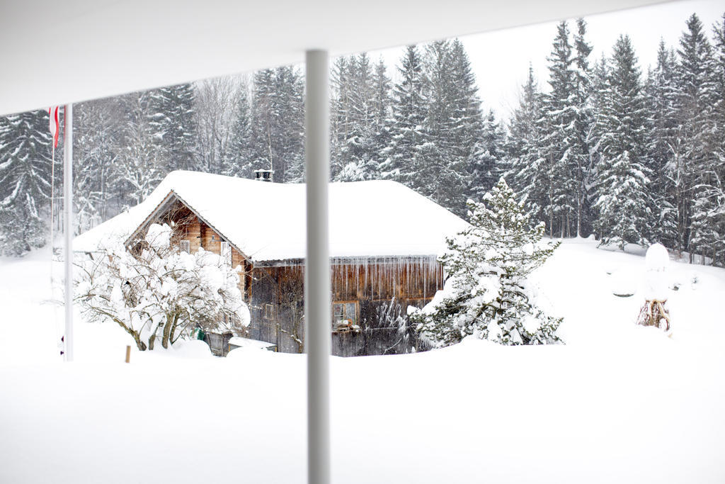 Chalet Bergoase Hasliberg Exterior foto